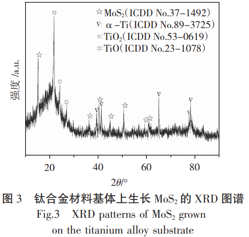 截圖20251124094022.png